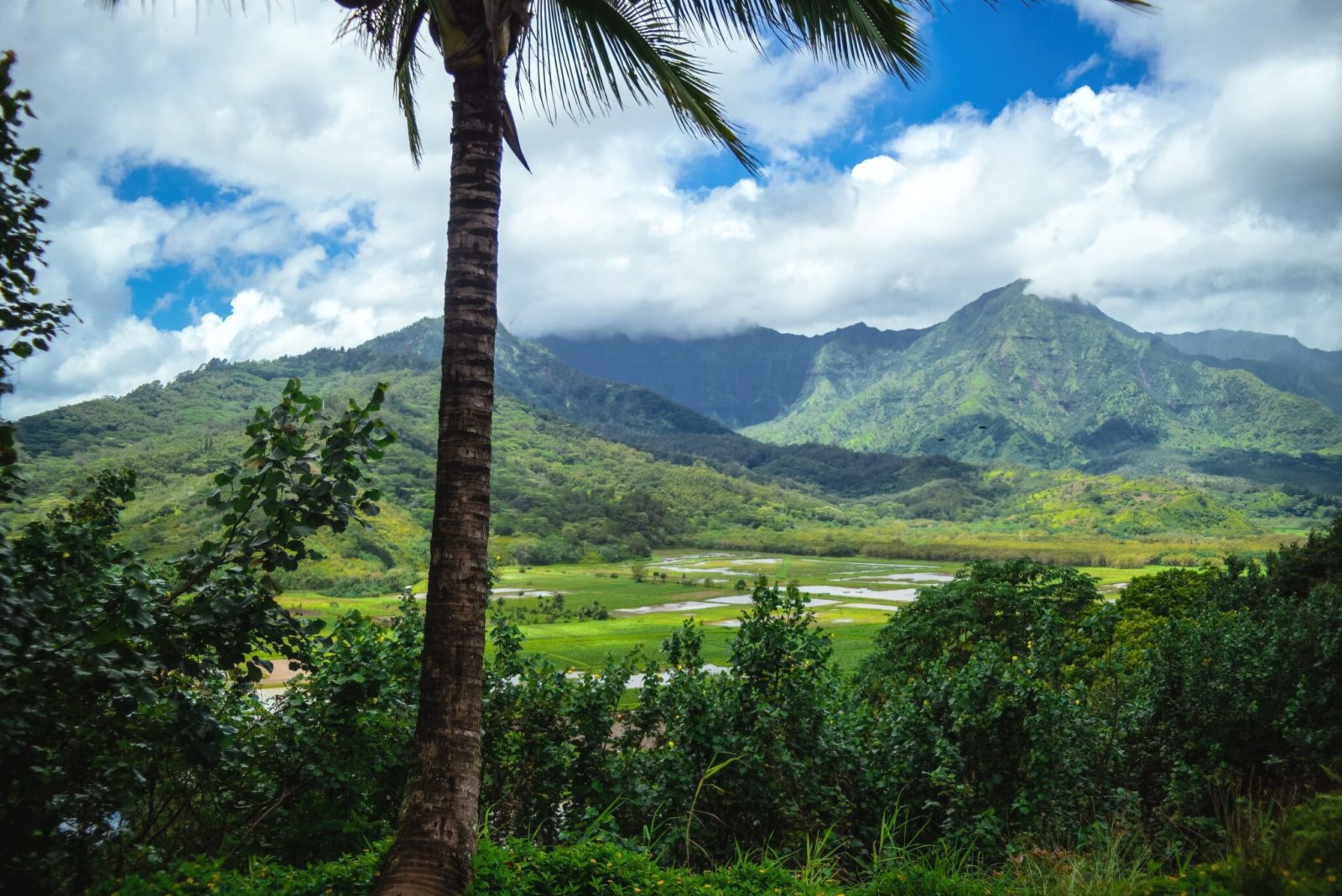 Can You ATV Ride in Hawaii? - Kauai ATV