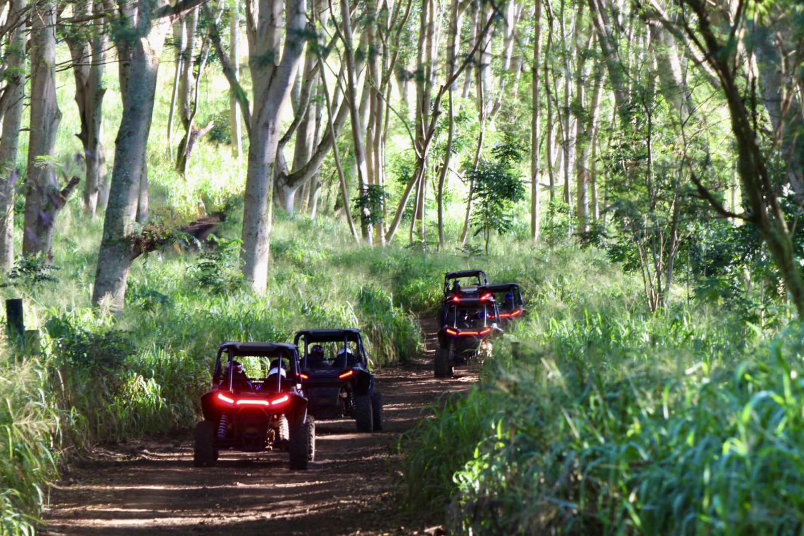 kauai-s-best-season-for-atv-rides-kauai-atv