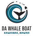 Da Whale Boat
