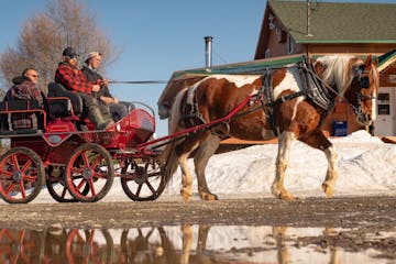 Carriole à cheval en nature au Québec