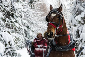Sleigh à cheval en famille ou entre amis en nature au Québec
