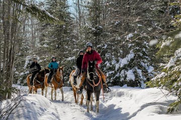 Randonnée à cheval en hiver en nature au Québec