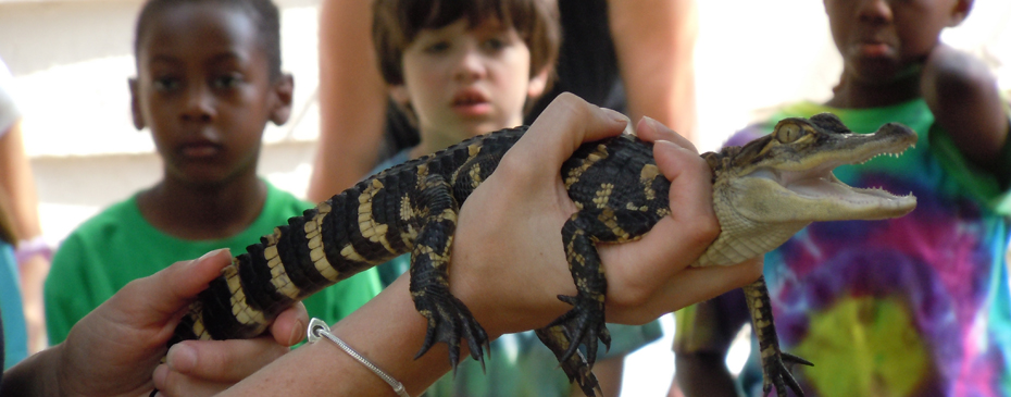 a person holding a reptile