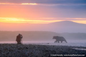a photographer taking a picture of a bear