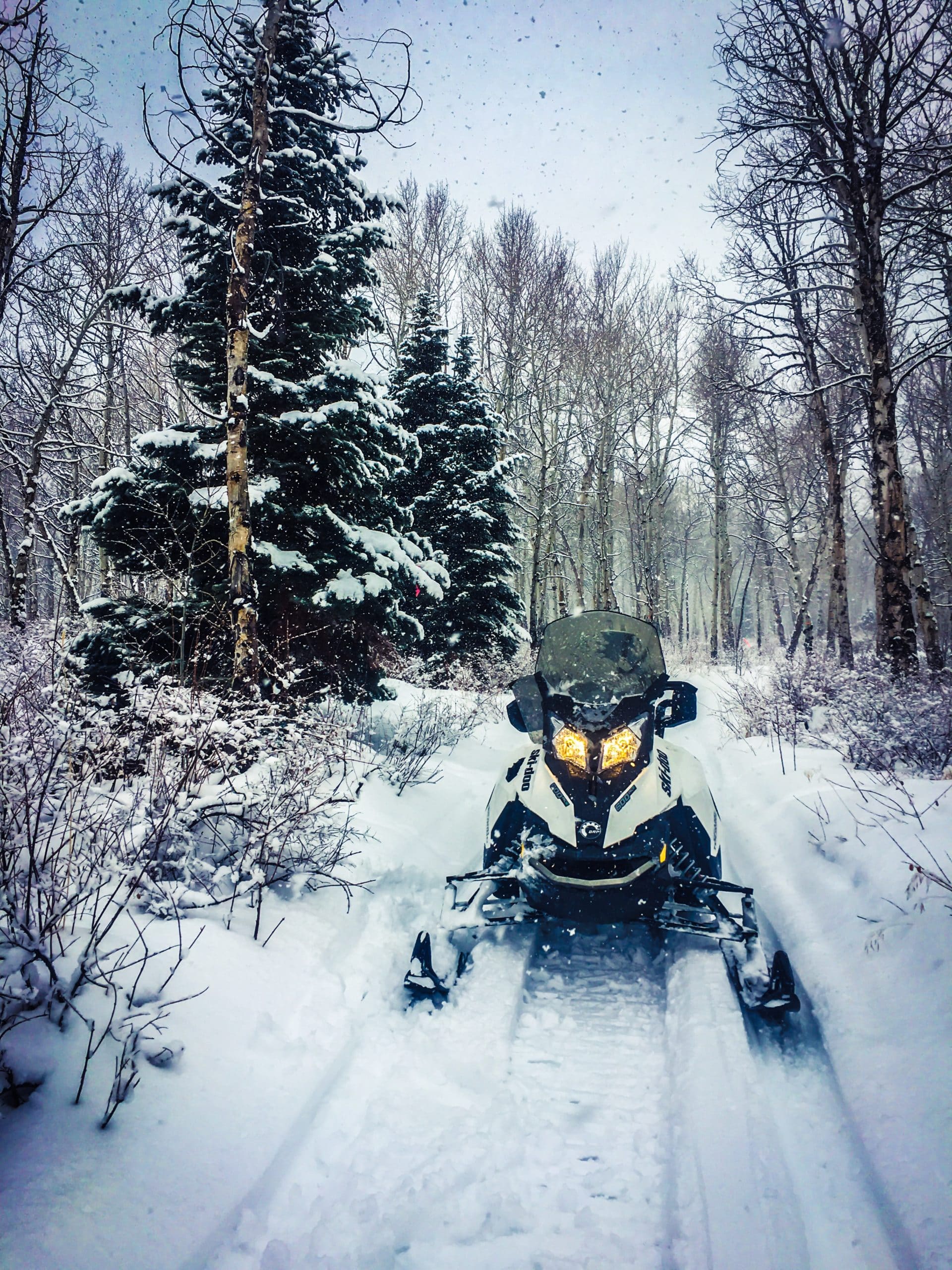 Holiday Snowmobile tours