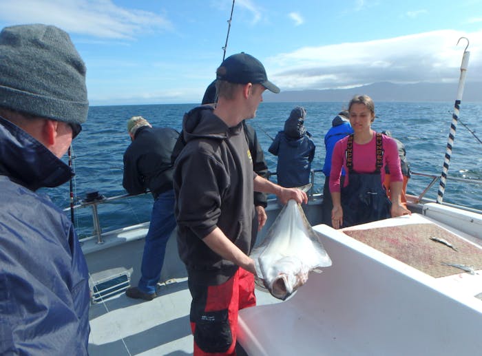 Half Day Halibut Fishing Tour in Homer, AK | Rainbow Tours