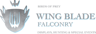 Wing Blade Falconry