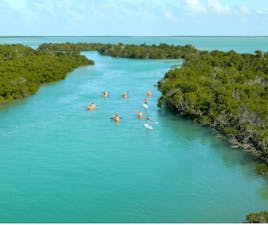 Key West: Sandbar Excursion & Kayak Tour with Lunch & Drinks