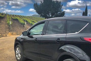 a car parked at a vineyard