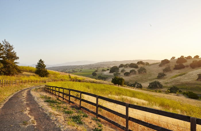 Wine Tour destinations in Paso Robles, CA | Destination Drivers