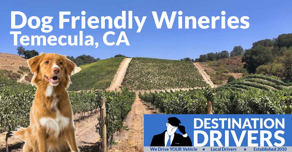 The Ultimate List Of Dog Friendly Wineries In Temecula