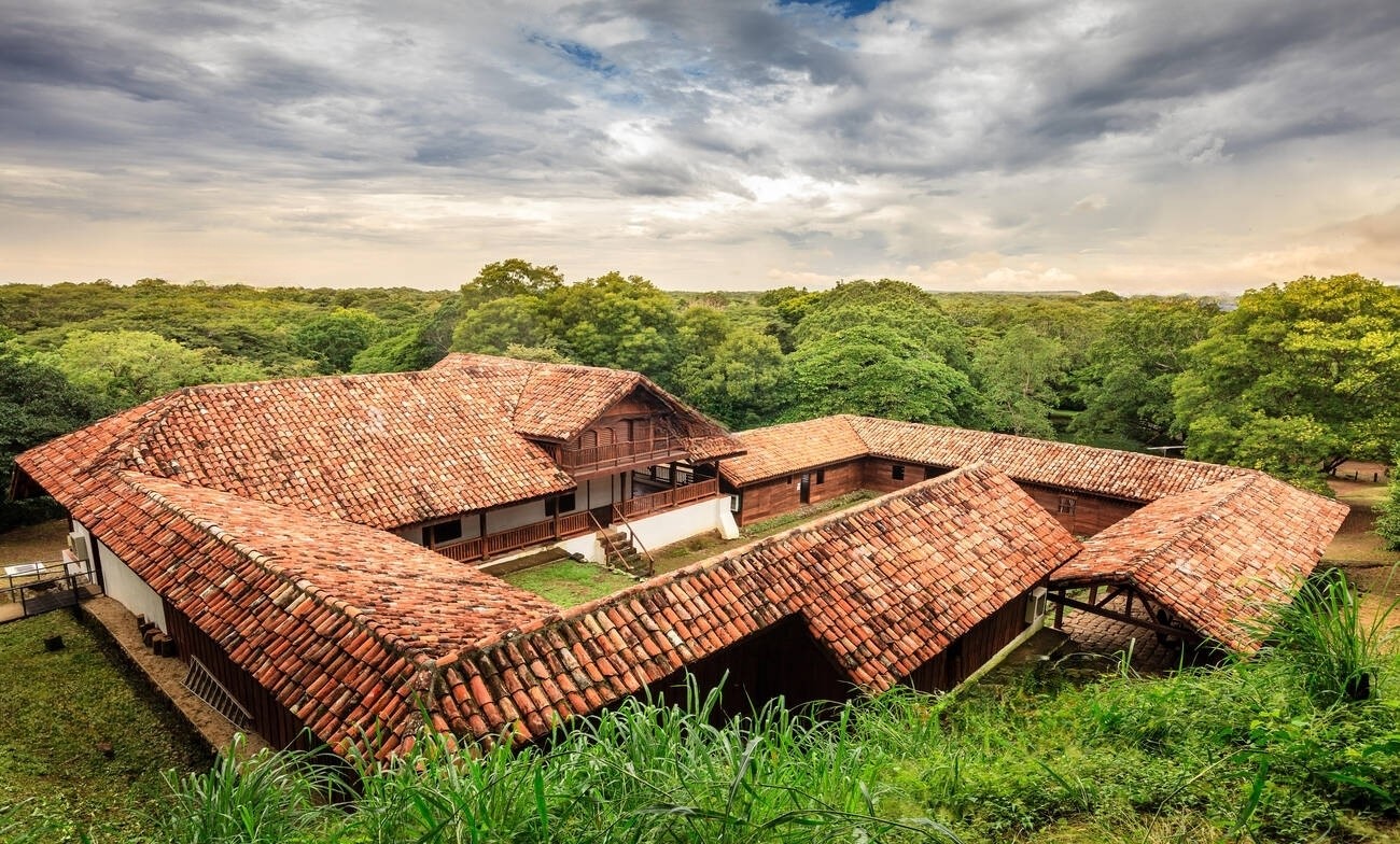 a wooden bench sitting on top of a lush green field