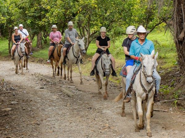 a group of people riding horses on a dirt path