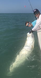 Another successful Tarpon adventure in Fort Myers by Endless Summer Charters