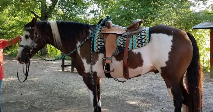 Guided Trail Rides in Oklahoma | Honey Lee Ranch
