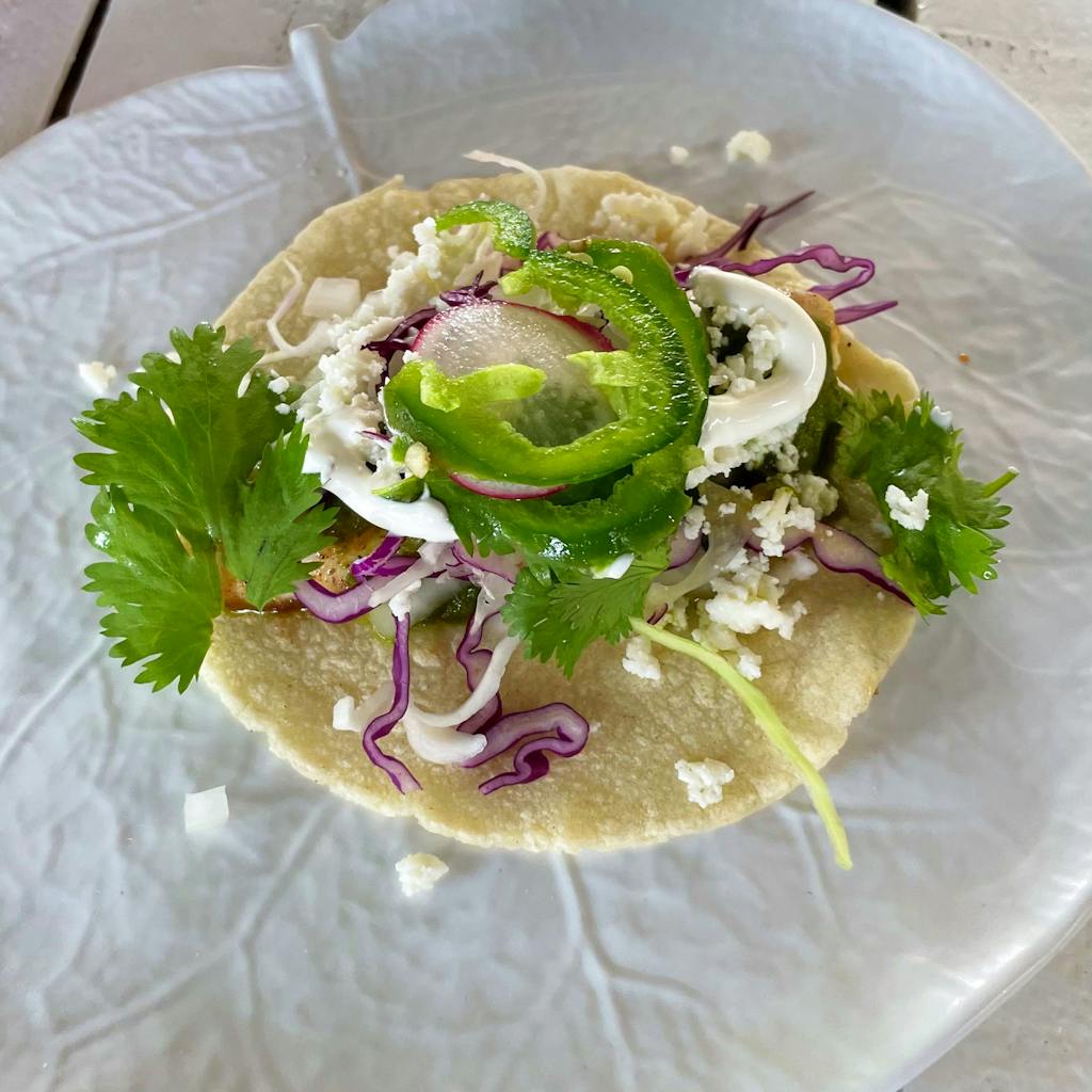 a fish taco on a plate from bad boy burrito in islamorada florida keys
