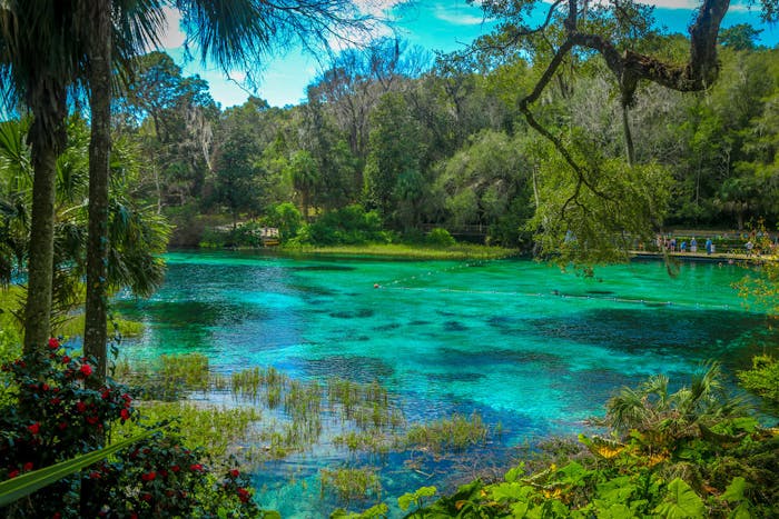 things-to-do-in-rainbow-springs-springs-in-florida