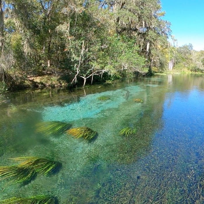 Things to do in Ichetucknee Springs – Springs in Florida