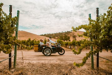 a couple riding in a sidecar through Paso Robles wine country