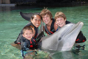 A happy family wearing wetsuits holding a dolphin in the pool.