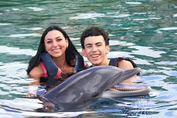 A dolphin interaction of a young couple in the pool.
