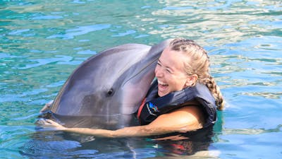 A young woman having an interaction with a dolphin in the water.