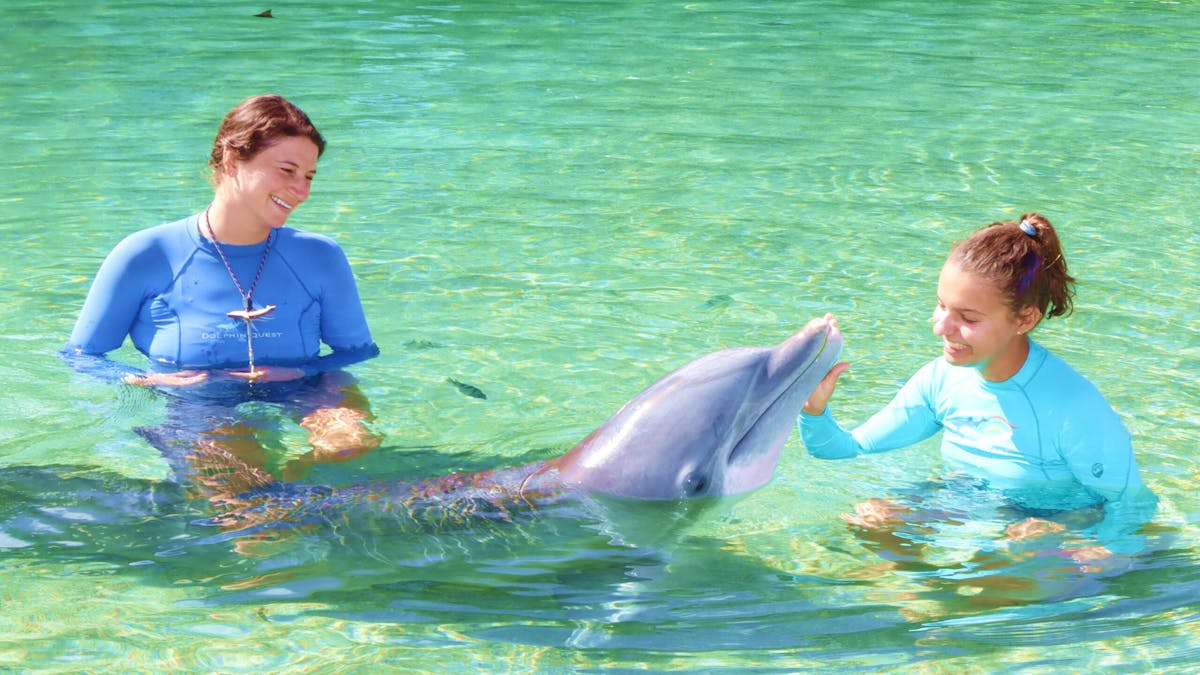 Two woman wearing wetsuits interacting the dolphin.