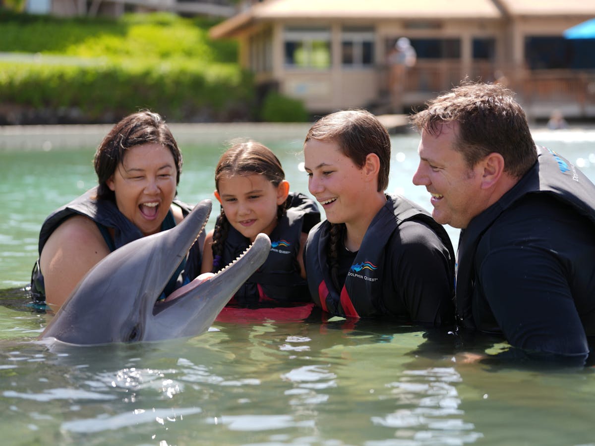 A happy family wearing wetsuits enjoying the dolphin interaction in the pool.