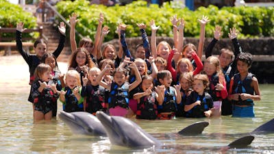 A school group compose of young kids enjoying the dolphin interaction.