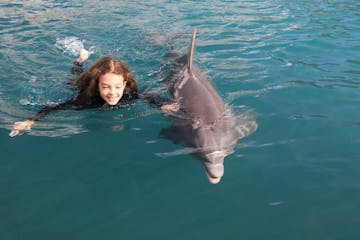 A little girl swimming with a dolphin.