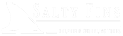 Salty Fins Dolphin & Snorkeling Tours 