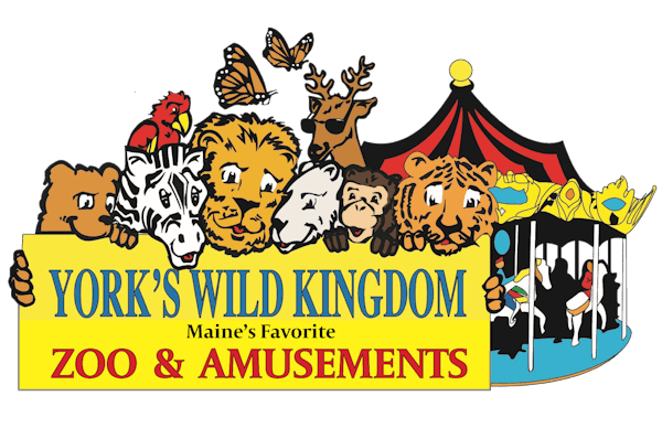 York's Wild Kingdom Logo