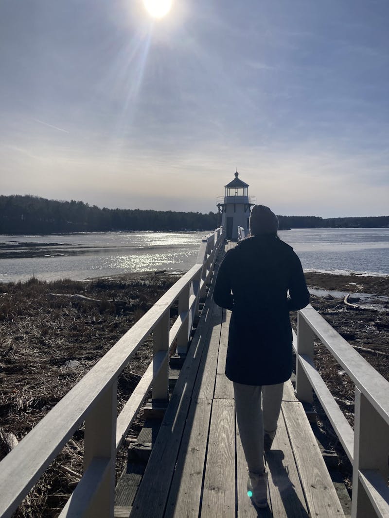 Birder's search for the Steller's Sea Eagle along the Kennebec river