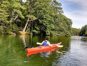 A person paddling a kayak on a calm river