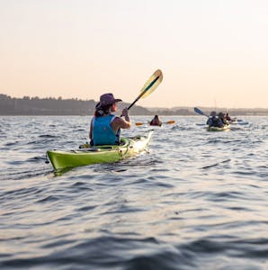 a group of people paddling sea kayaks