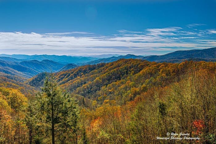 Smoky Mountain Scenic Drive  Great Smoky Mountain Eco Tours
