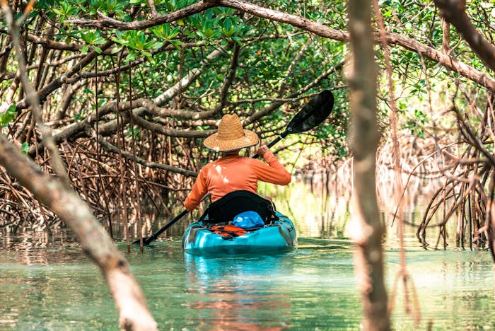 Park Trails: Sunrise & Sunset — Circle Canoe Games