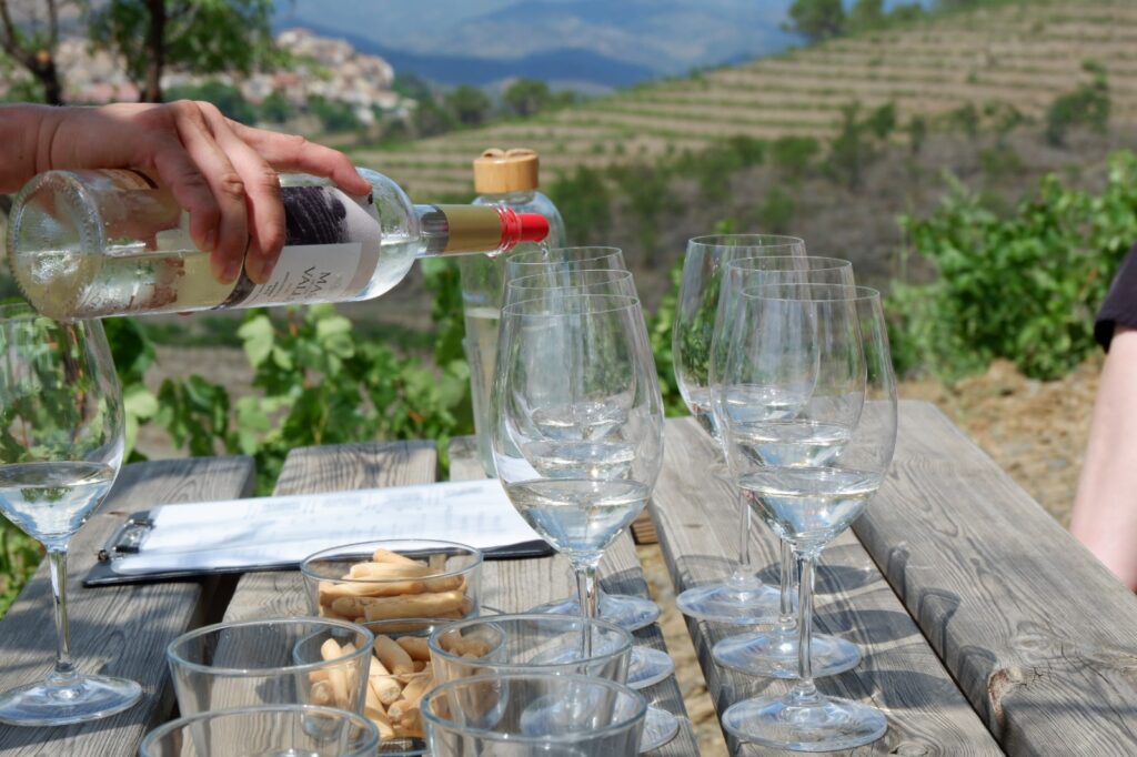 Glass of wine in Priorat