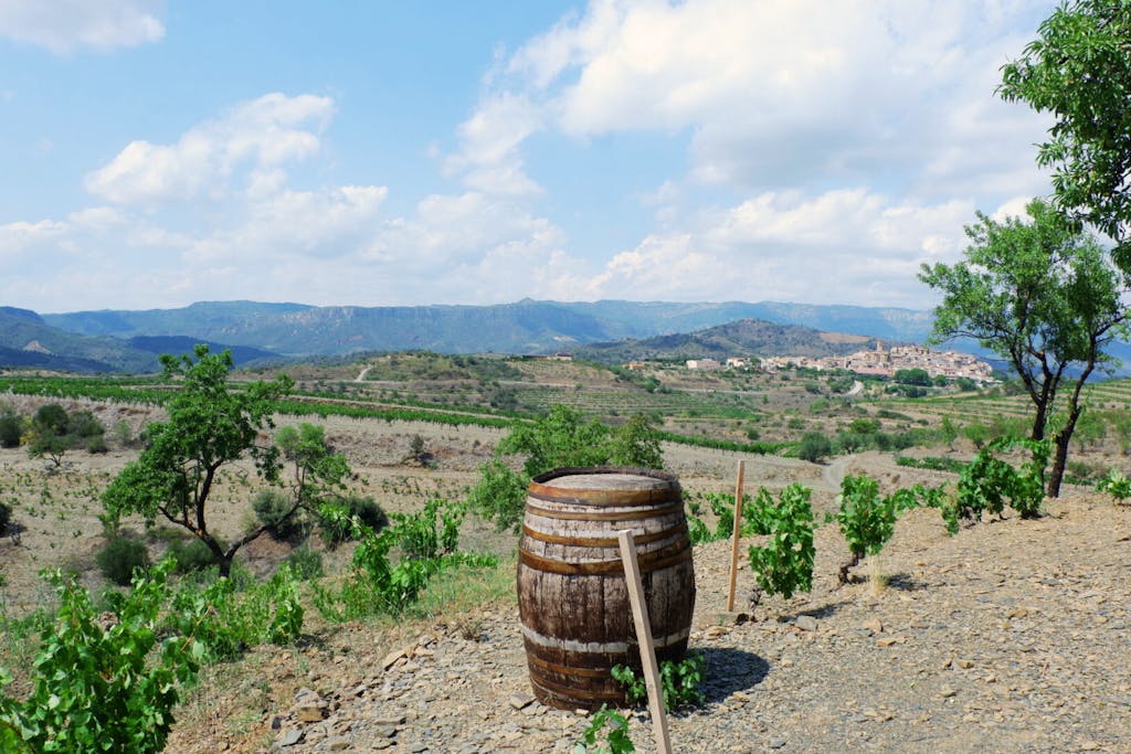 a tree with a barrel and  mountains in the background