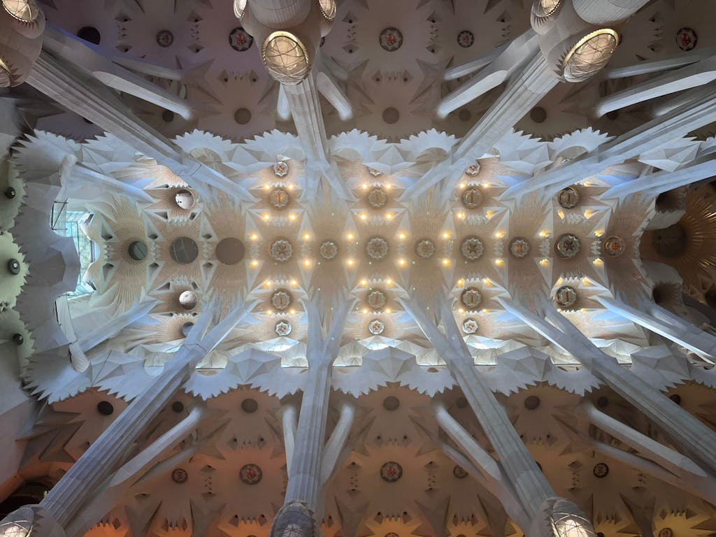 ceilings of the sagrada familia basilic