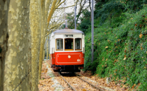 a bus traveling on a train track with trees in the background