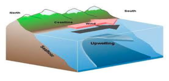 Graphic representation of upwelling from NOAA