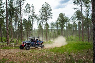 rzr riding through the forest