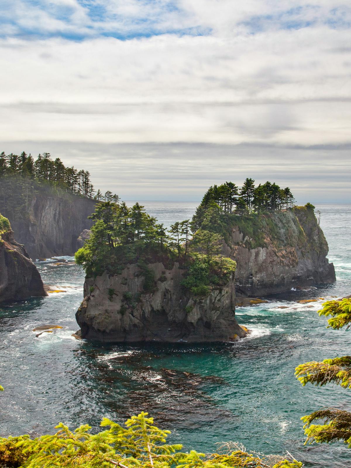 a close up of a rock next to a body of water with McWay Falls in the background