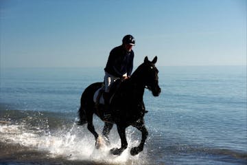 a man riding a horse in a body of water