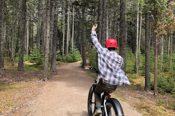 a man riding a bike down a dirt road in a forest