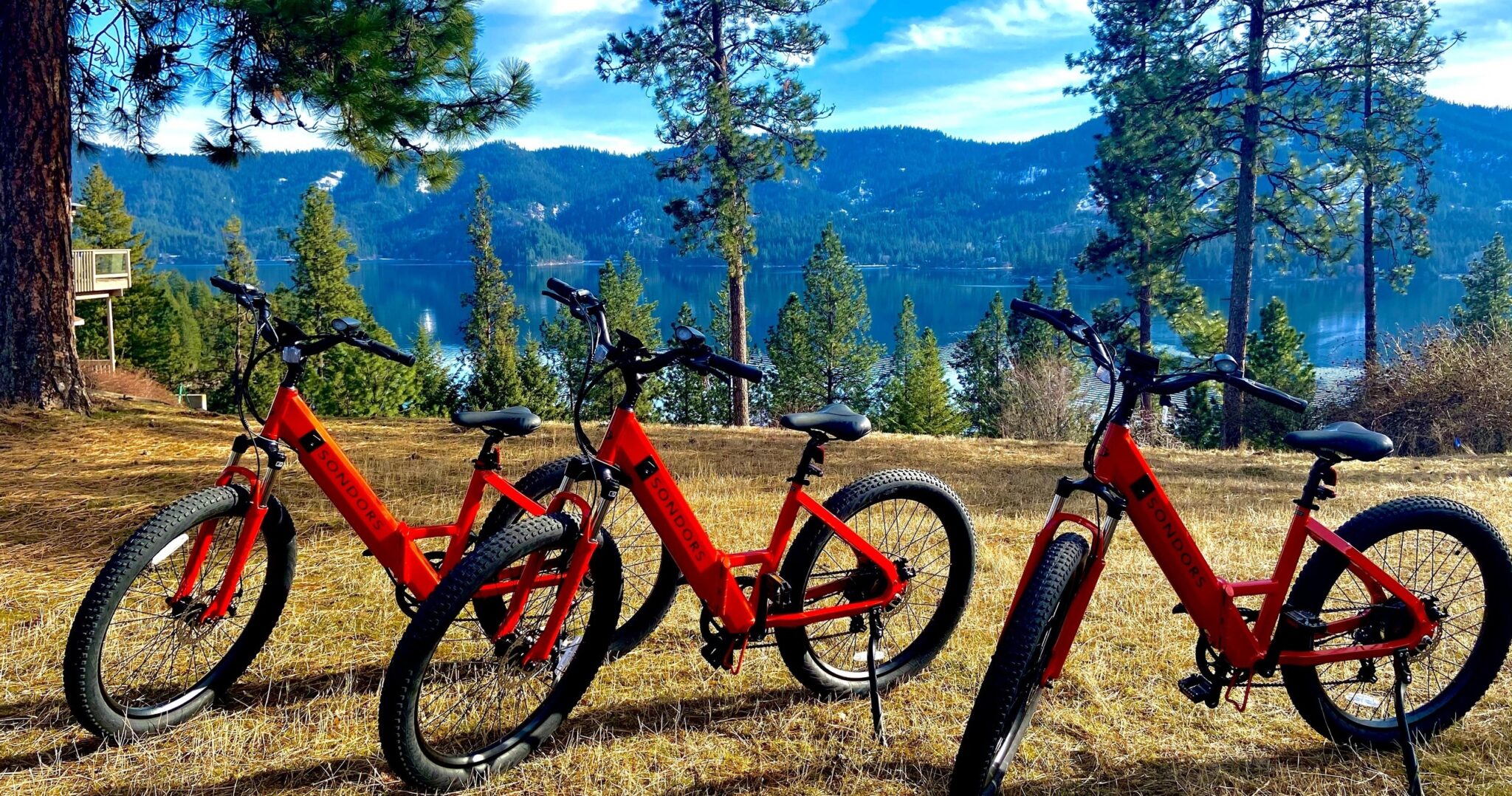 Bike rentals in coeur d'alene idaho