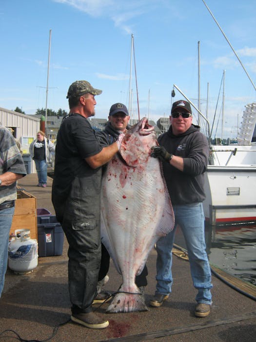 Full Day Oregon Halibut & Rockfish Fishing | Yaquina Bay Charters