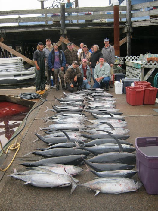 Albacore Tuna Fishing Oregon Coast Yaquina Bay Charters