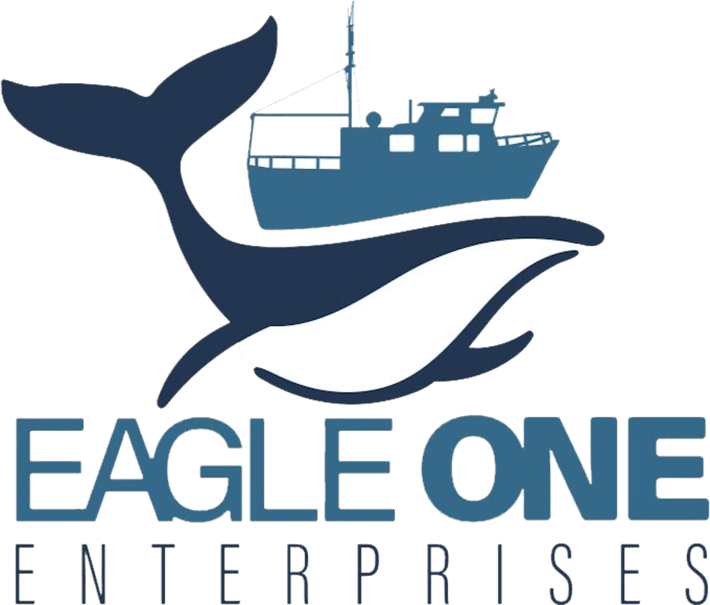 Eagle One Tours  Wildlife, Sightseeing & Whale Watching tours in